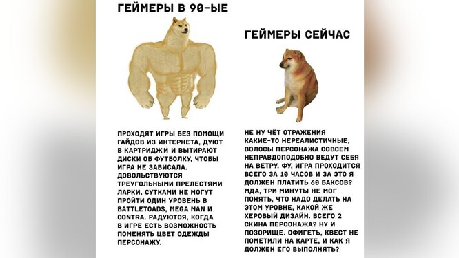 Умер самый мемный пес интернета — Чимс. Вы точно видели мемы с его участием