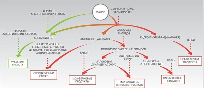 Похмелье