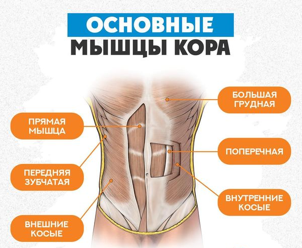 Как избавиться от болей в спине: 6 упражнений от звездного тренера Люка Уортингтона