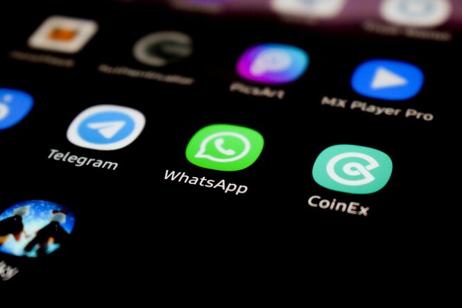 В России не будут запускать новую функцию WhatsApp из-за угрозы блокировки: пользователи ждали ее 8 лет