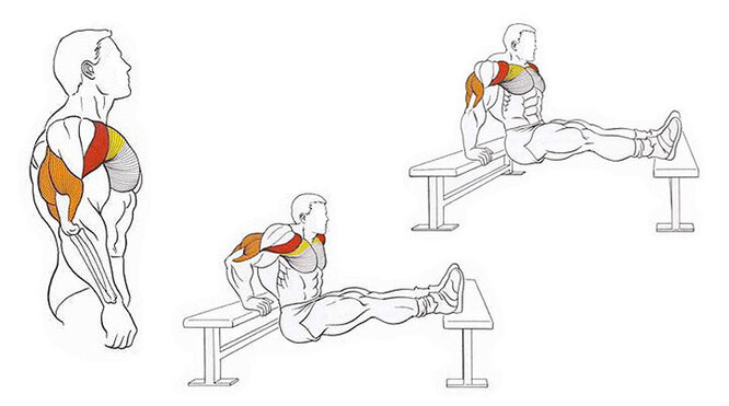 Как выполнять обратные отжимания от скамьи, чтобы добиться максимальной загрузки трицепса