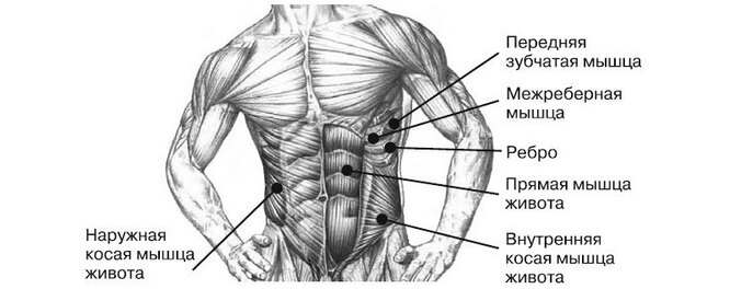 Почему не получается накачать пресс: попробуйте эту универсальную методику