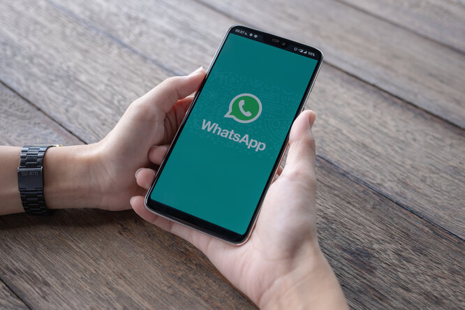 Разработчики WhatsApp запустят нейросеть: какие функции будут доступны пользователям?