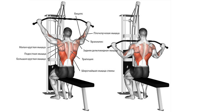 Как правильно выполнят тягу верхнего блока к груди