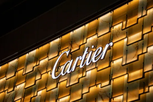 Мужчина купил серьги Cartier в тысячу раз дешевле из-за ошибки на сайте: компания не захотела отдавать товар