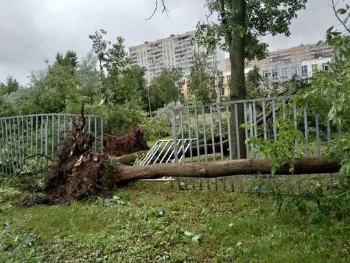 Смерчи, сорванные крыши и туалетная ловушка: ураган накрыл Москву, есть жертвы