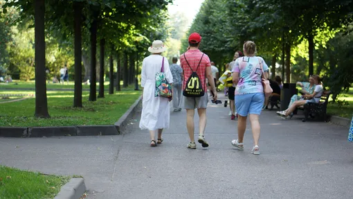 В Москве началась вторая волна активности клещей: как защититься от опасных укусов