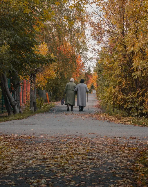 Пожилые женщины на осенней прогулке